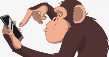 Affen investieren besser in Fonds als Menschen