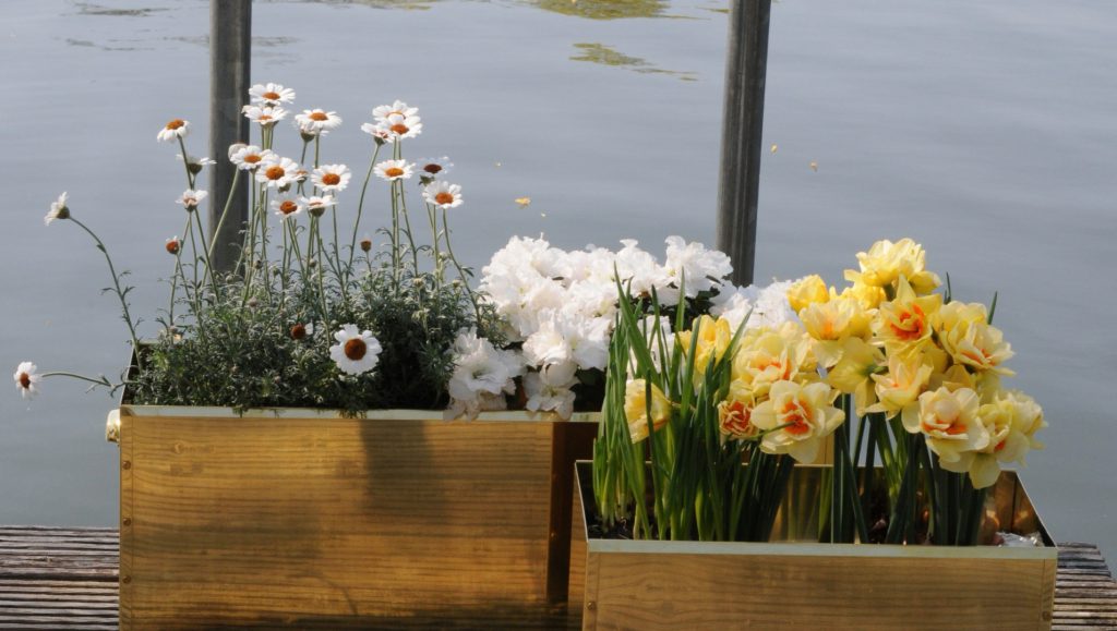 Das Sinnesmodul als neues Dekor-Objekt: die Schönheit der Natur mit allen Sinnen genießen