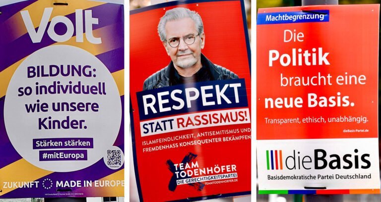 Bundestagswahl 2021: So haben »Sonstige« abgeschnitten Bundestagswahl 2021: So haben »Sonstige« abgeschnitten