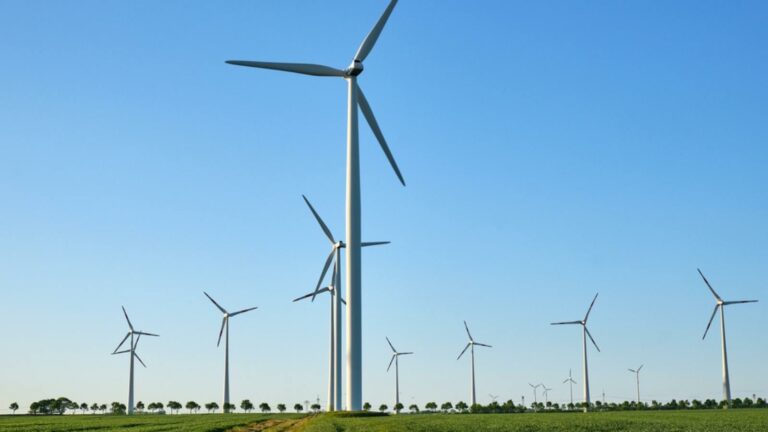Klimaziele: Vorgaben für den Aufbau von Windrädern werden gelockert Klimaziele: Vorgaben für den Aufbau von Windrädern werden gelockert