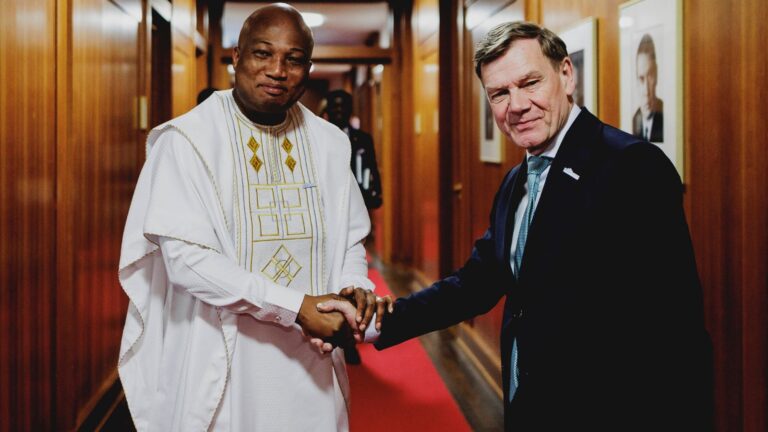 Deutsche Wirtschaft fordert von Berlin deutlich stärkere Afrikapolitik